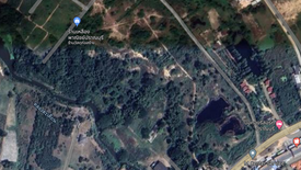 Land for sale in Wang Phong, Prachuap Khiri Khan