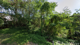 Land for sale in Chorakhe Bua, Bangkok