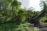 Land for sale in Chorakhe Bua, Bangkok