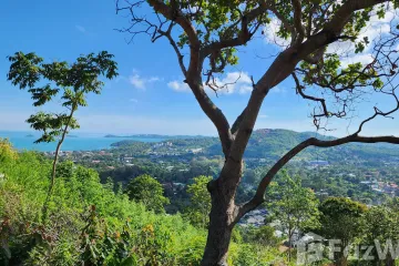 Land for sale in Bo Phut, Surat Thani