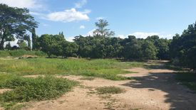 Land for sale in Khun Khong, Chiang Mai