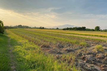 Land for sale in Khun Khong, Chiang Mai