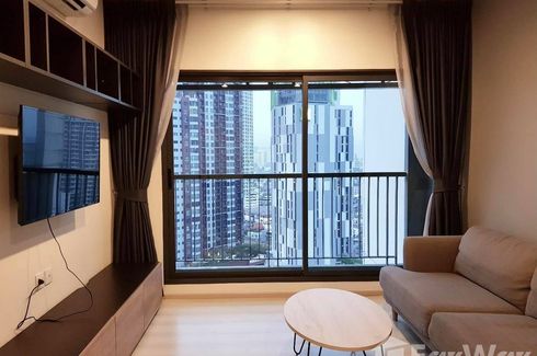 1 Bedroom Condo for rent in Life Sukhumvit 48, Phra Khanong, Bangkok near BTS Phra Khanong