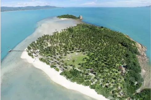 Land for sale in Bo Phut, Surat Thani