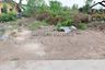 Land for sale in Nong Prue, Chonburi