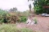 Land for sale in Nong Prue, Chonburi