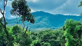 Land for sale in Suthep, Chiang Mai