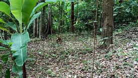 Land for sale in Ko Kaeo, Phuket