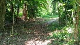 Land for sale in Ko Kaeo, Phuket
