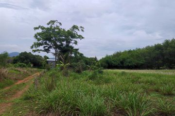 Land for sale in Thep Krasatti, Phuket