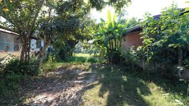 Land for sale in Non Sung, Udon Thani