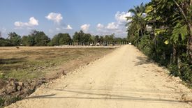 Land for sale in San Kamphaeng, Chiang Mai