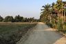 Land for sale in San Kamphaeng, Chiang Mai
