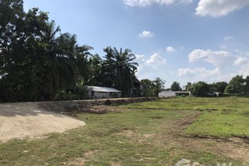 Land for sale in San Kamphaeng, Chiang Mai