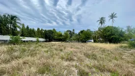 Land for sale in Mae Nam, Surat Thani