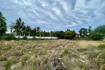 Land for sale in Mae Nam, Surat Thani