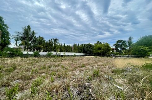 Land for sale in Mae Nam, Surat Thani