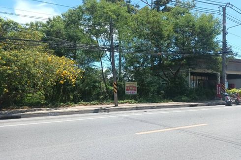 Land for sale in Ang Thong, Surat Thani