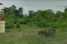 Land for sale in Ang Thong, Surat Thani