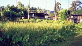 Land for sale in Ang Thong, Surat Thani