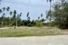 Land for sale in Mae Nam, Surat Thani
