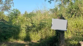 Land for sale in Summit Green Valley, Mae Sa, Chiang Mai