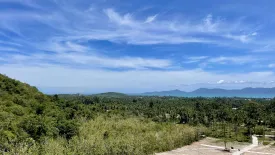 Land for sale in Mae Nam, Surat Thani