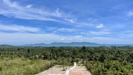 Land for sale in Mae Nam, Surat Thani