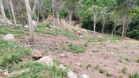 Land for sale in Maret, Surat Thani