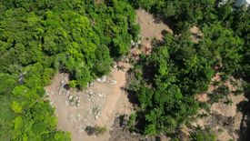 Land for sale in Maret, Surat Thani