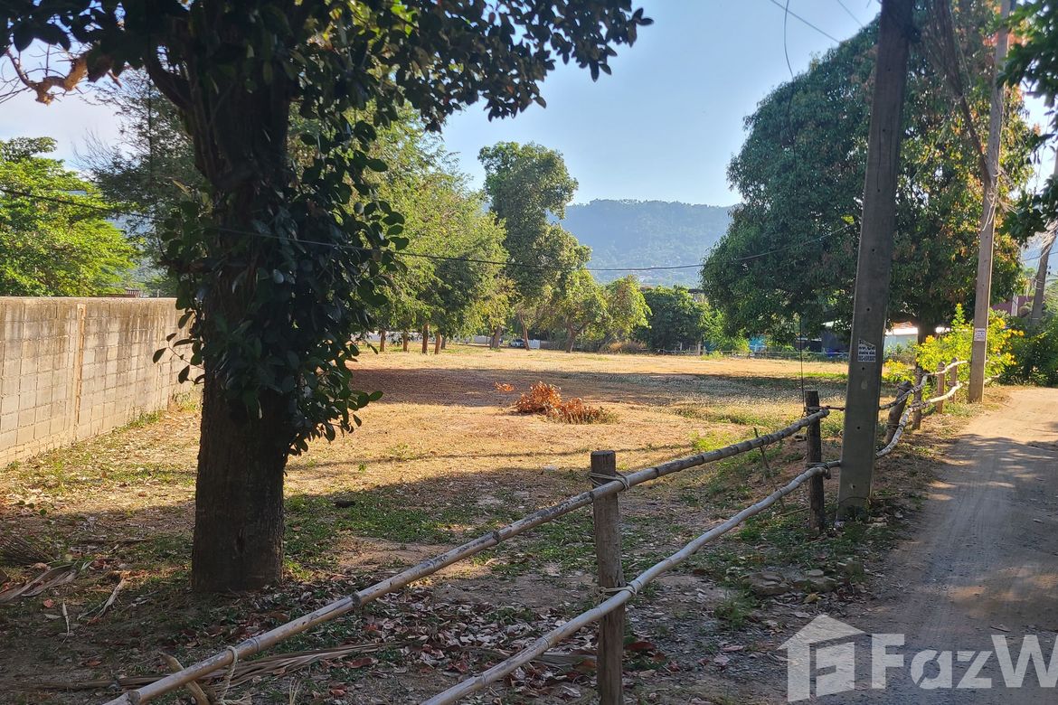 Land for sale in Bo Phut, Surat Thani 📌 Land for sale in Surat Thani