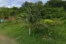 Land for sale in Khao Noi, Prachuap Khiri Khan