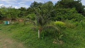 Land for sale in Khao Noi, Prachuap Khiri Khan