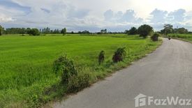 Land for sale in Ban Sa, Suphan Buri