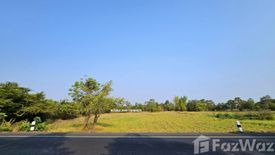 Land for sale in Nam Kham Yai, Yasothon