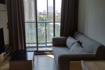 1 Bedroom Condo for rent in Taka Haus Ekamai 12, Khlong Tan Nuea, Bangkok near BTS Ekkamai
