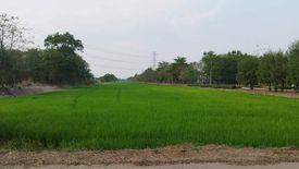 Land for sale in Wang Chula, Phra Nakhon Si Ayutthaya