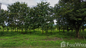 Land for sale in Mae Puem, Phayao