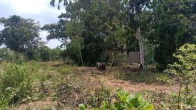 Land for sale in Si Maha Phot, Prachin Buri