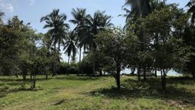 Land for sale in Ban Tai, Surat Thani