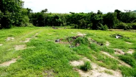 Land for sale in Thep Krasatti, Phuket