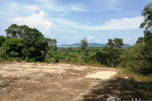 Land for sale in Thep Krasatti, Phuket