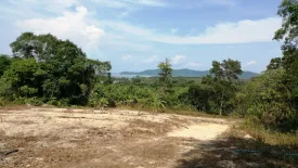 Land for sale in Thep Krasatti, Phuket