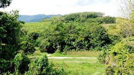 Land for sale in Thep Krasatti, Phuket
