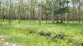 Land for sale in Mai Khao, Phuket