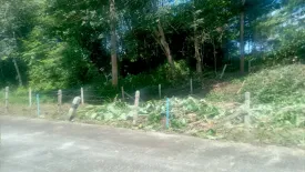 Land for sale in Thep Krasatti, Phuket