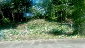 Land for sale in Thep Krasatti, Phuket