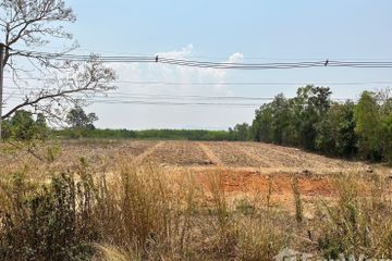 Land for sale in Khok Ngam, Loei