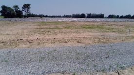 Land for sale in Nong Rathawat, Suphan Buri
