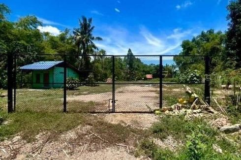 Land for sale in Kratip, Nakhon Pathom